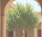 blog_img